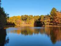 Enjoy the serene beauty of Bowie Nature Park, just minutes from Wynwood Park. Scenic walking trails, peaceful lake views, and lush greenery make this a perfect spot to unwind and connect with nature.