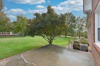 patio overlooking the gorgeous private 1 acre lot