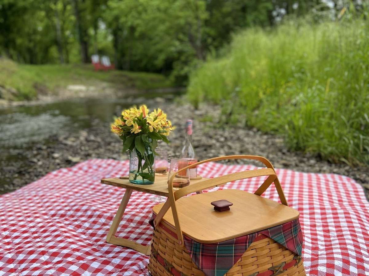 Picnic in a lovely setting