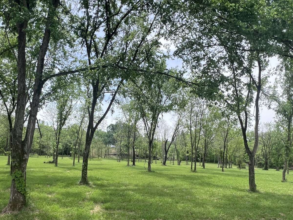 Flat meadow is in the rear of the property and would be a great place to build a private retreat