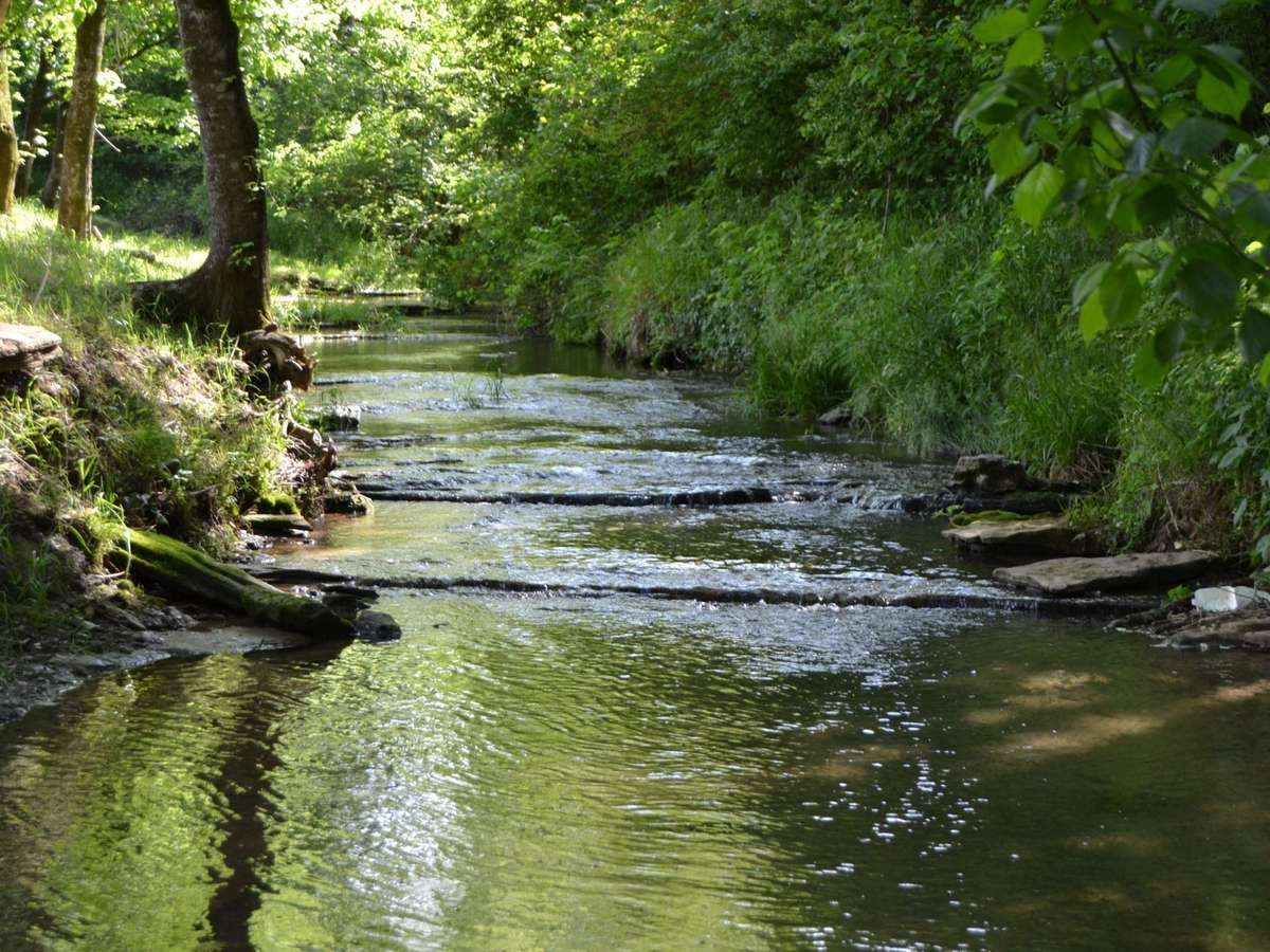 Peaceful and Serene