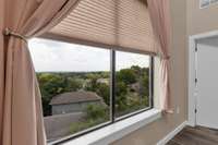 Gorgeous tree-top views