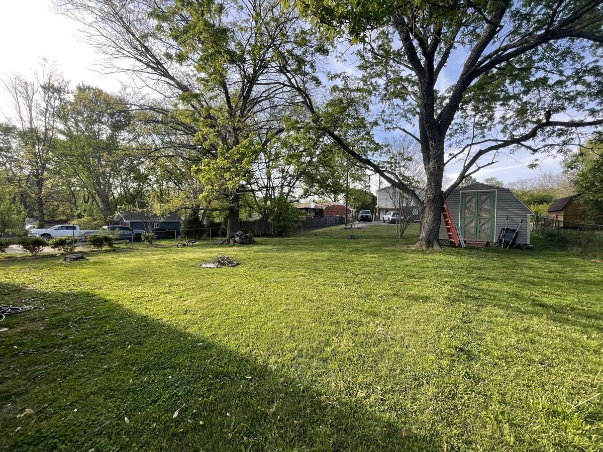 Fenced Back Yard