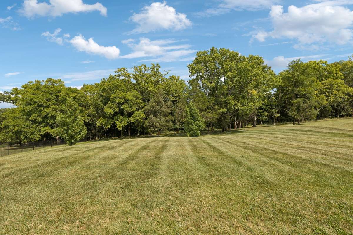Spacious back yard with ample room for a pool and a pool house