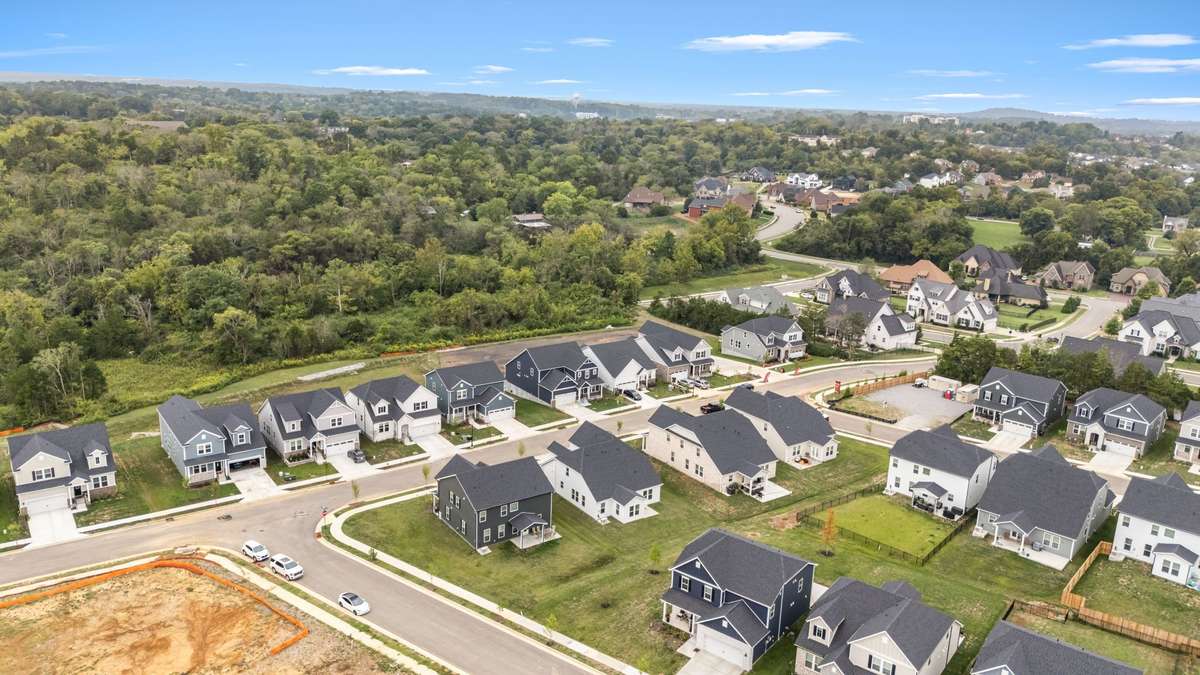 Peaceful neighborhood with plenty of sidewalks for dog walking or exercising.