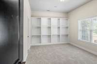 Lower Level Bedroom #5 with Built-In Bookcases and Walk In Closet
