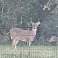 You will feel like you live out in the middle of nowhere but close to everything!