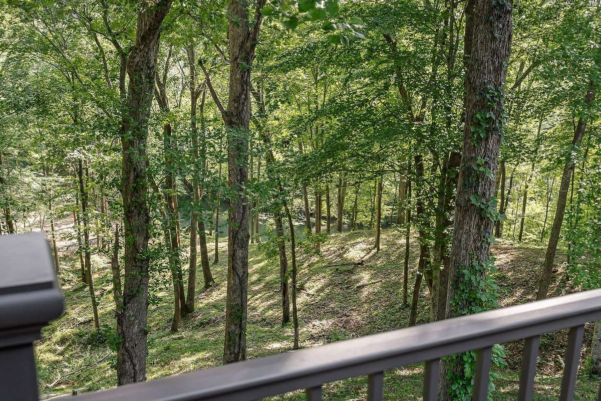 River views from deck!