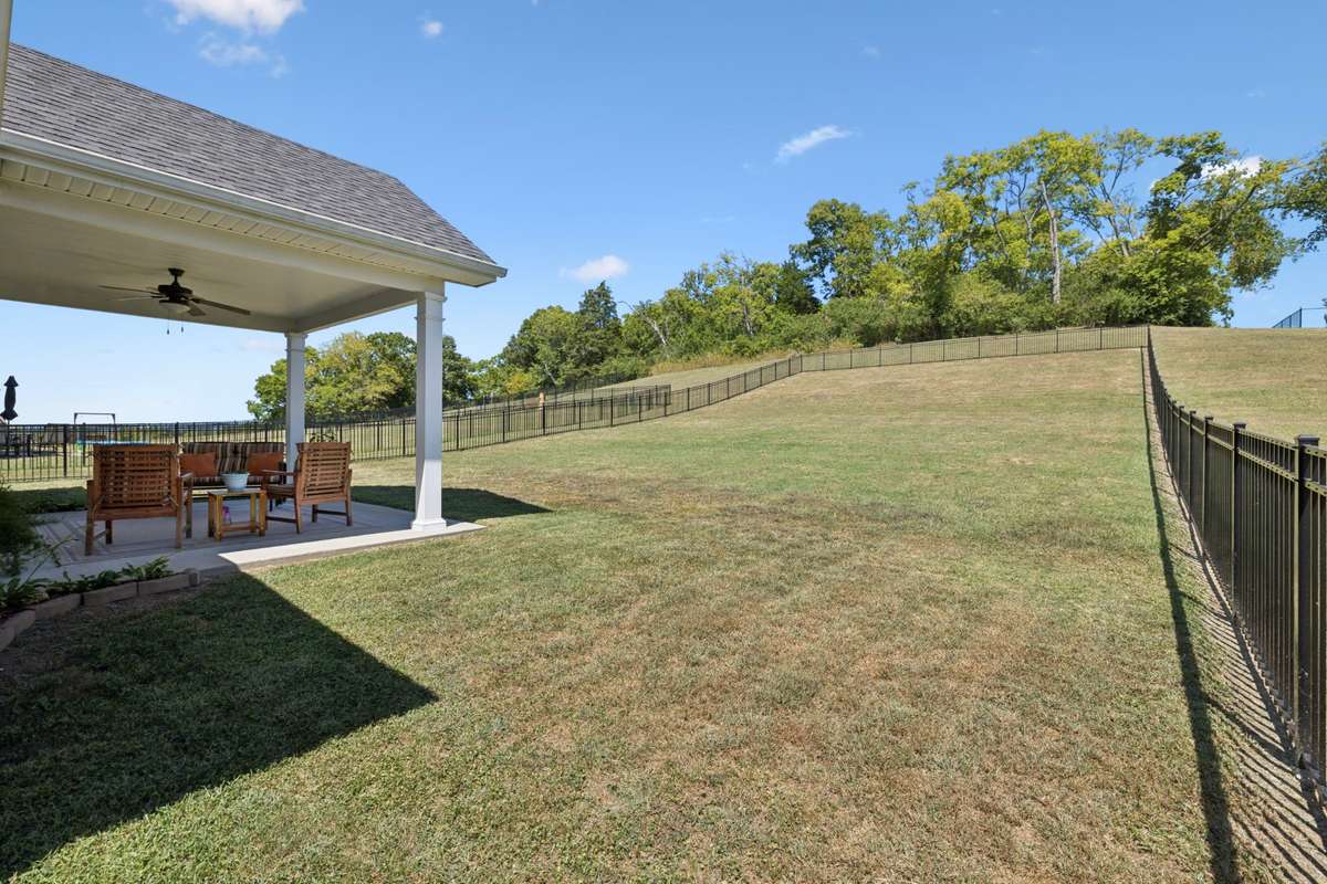 Property extends to tree line
