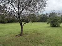 Large back yard with plenty of mature trees