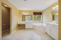 Primary bathroom... I mean you could leave it as is... or just go wild!