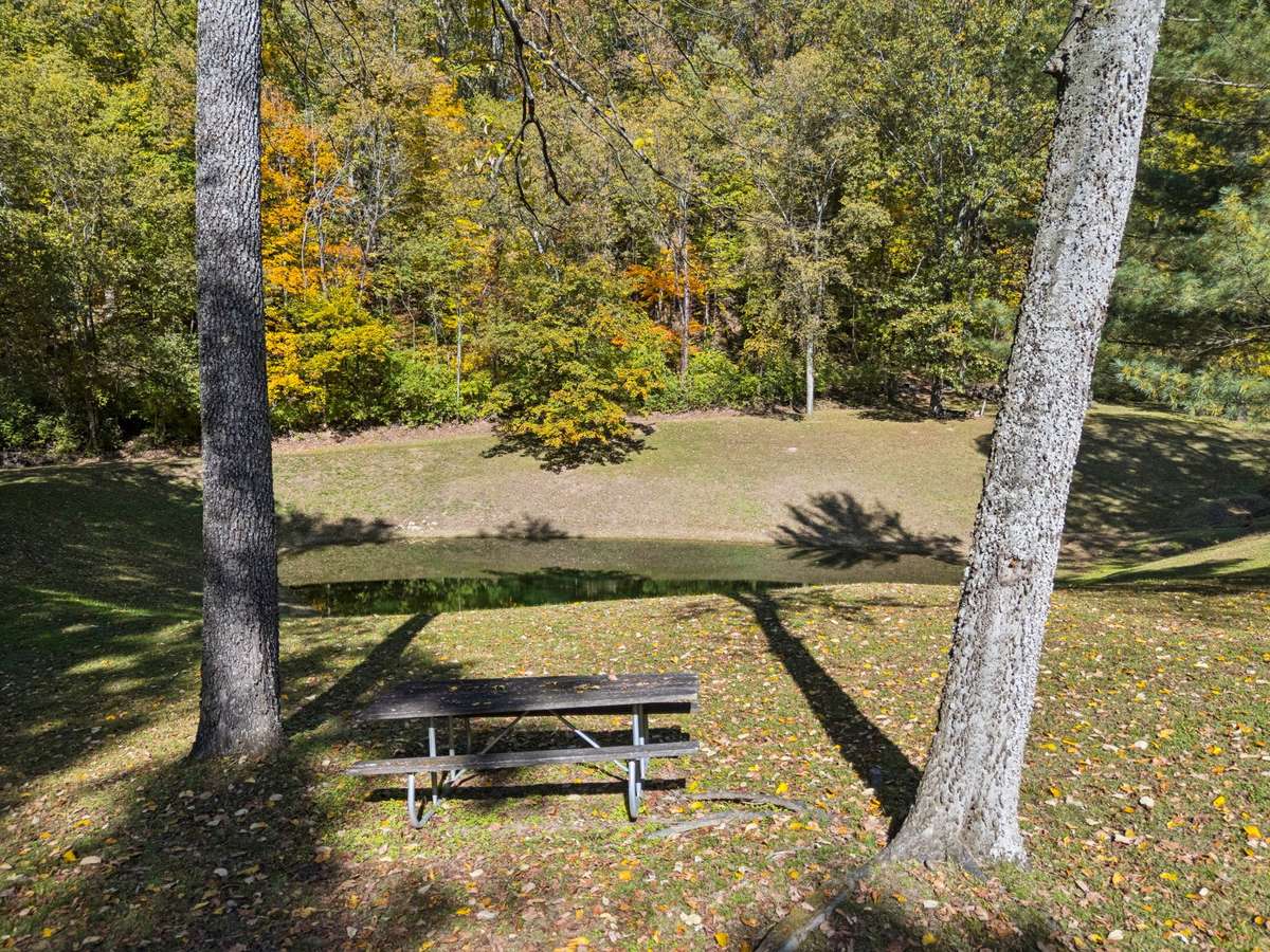 Check out the pond on the property.  Not aerated currently but has amazing potential!