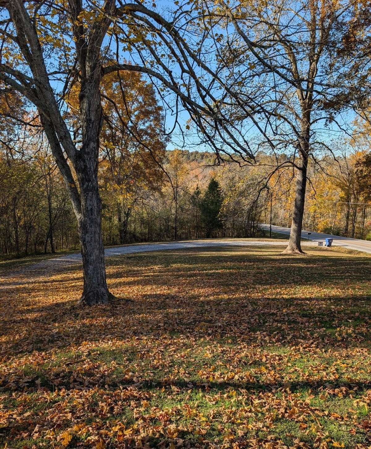 View from front porch