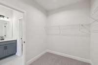 Darlington primary closet. Photos are of similar home, same plan. Colors, interior selections, elevations and upgrades may vary.