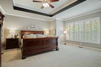 Primary suite on the main level!  Crown molding, ceiling fan, plantation shutters, brand new carpet!