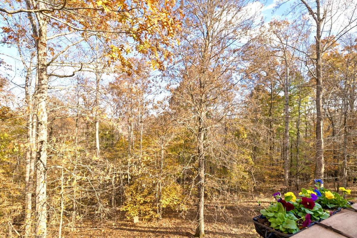 Your fall and winter view… only gets better in spring and summer!