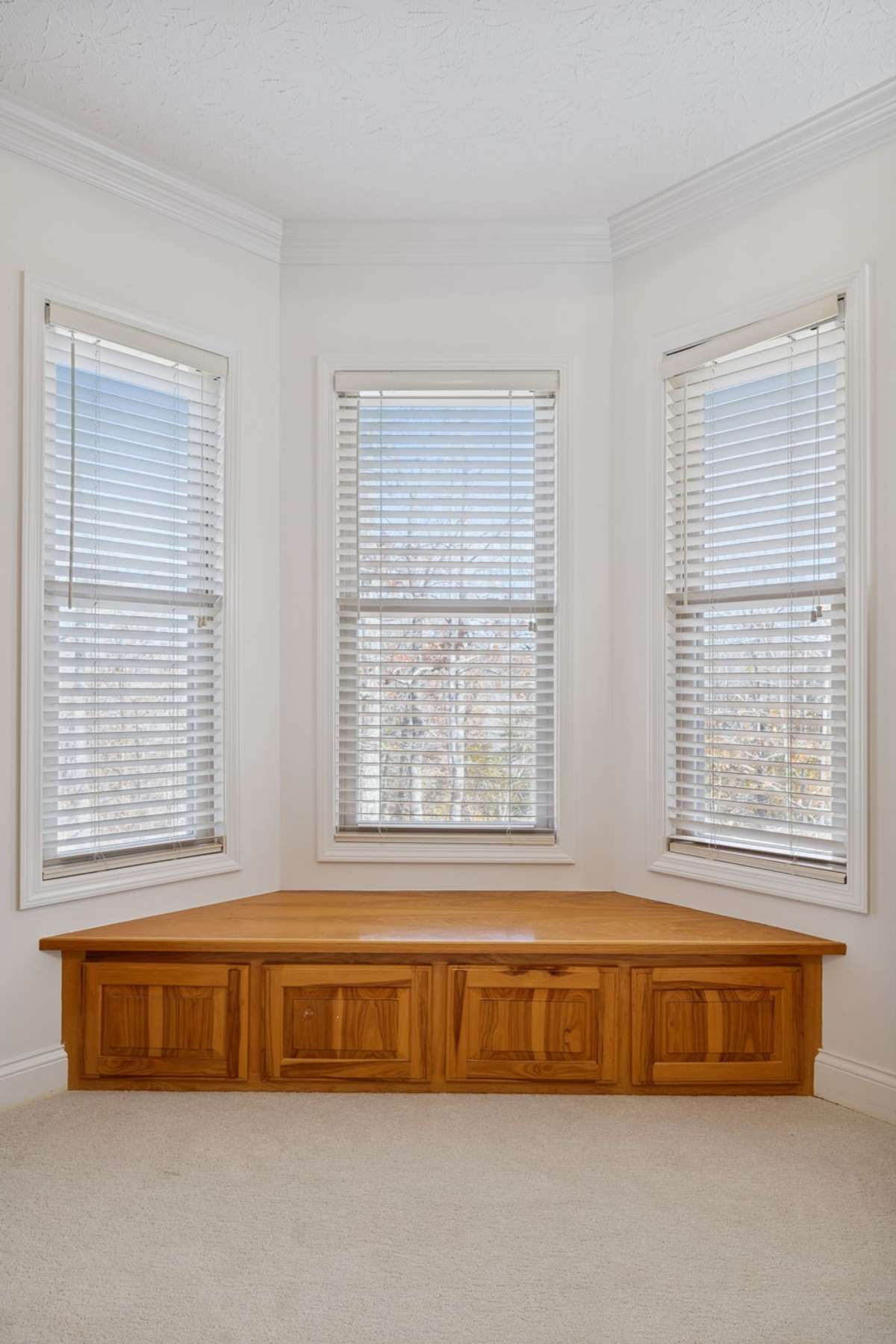 Owner’s Bedroom offers wonderful view of wooded hillside.  Nothing can be built here according to seller (common area and bluff terrain beyond).