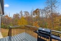 Back deck over looking the woods behind the house.