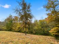 View of side yard. Most homes have a woody lot.