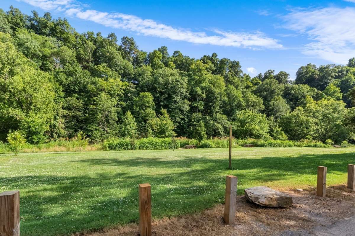 View the flowers and wildlife in the greenspace at Billy Dunlop Park