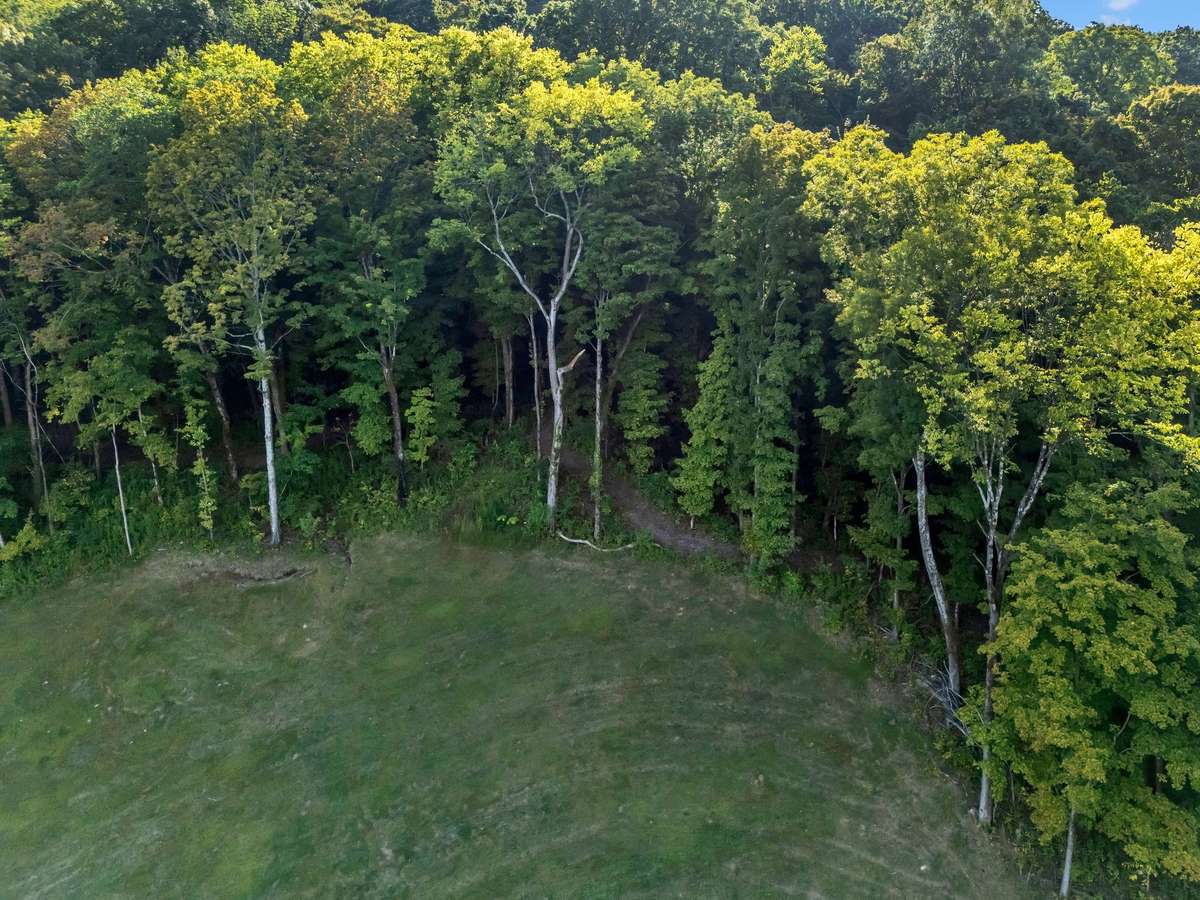 Walking Trails
