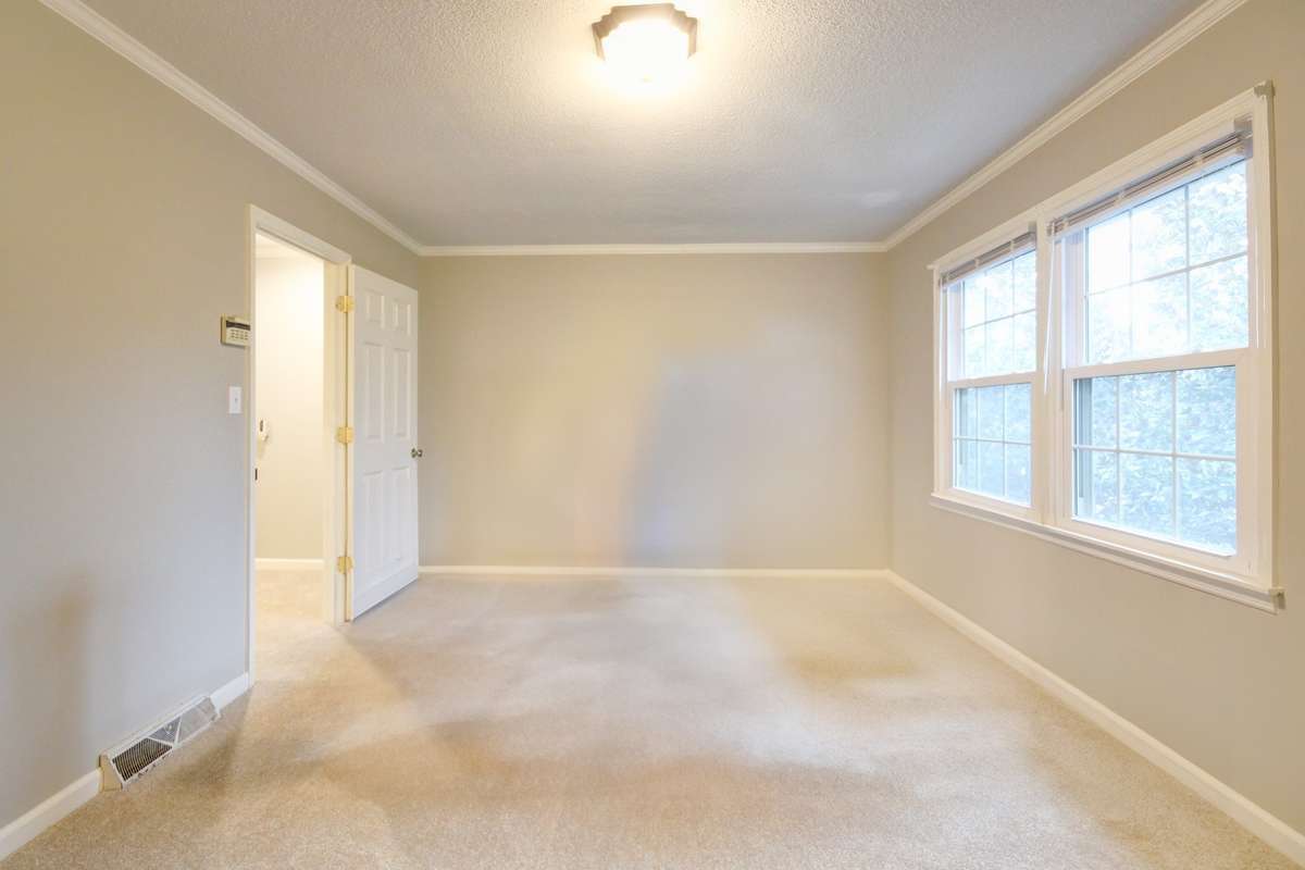 Alternate View
