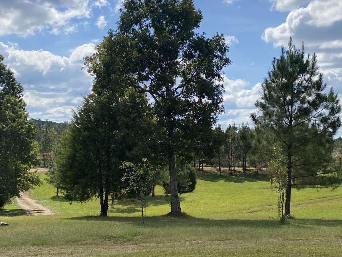 Enjoy unparalleled privacy on this expansive, level lot featuring extensive road frontage and a generous setback for the home