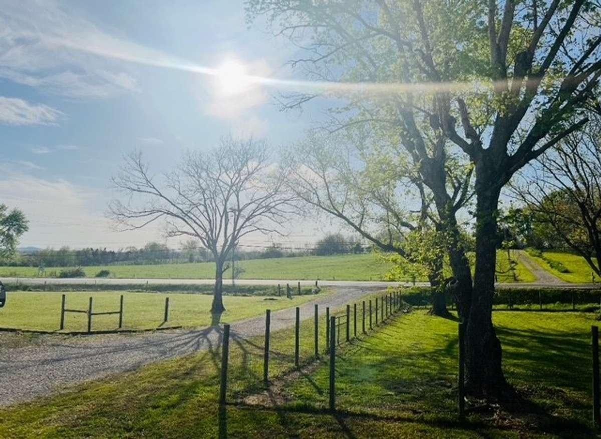 View from front porch.