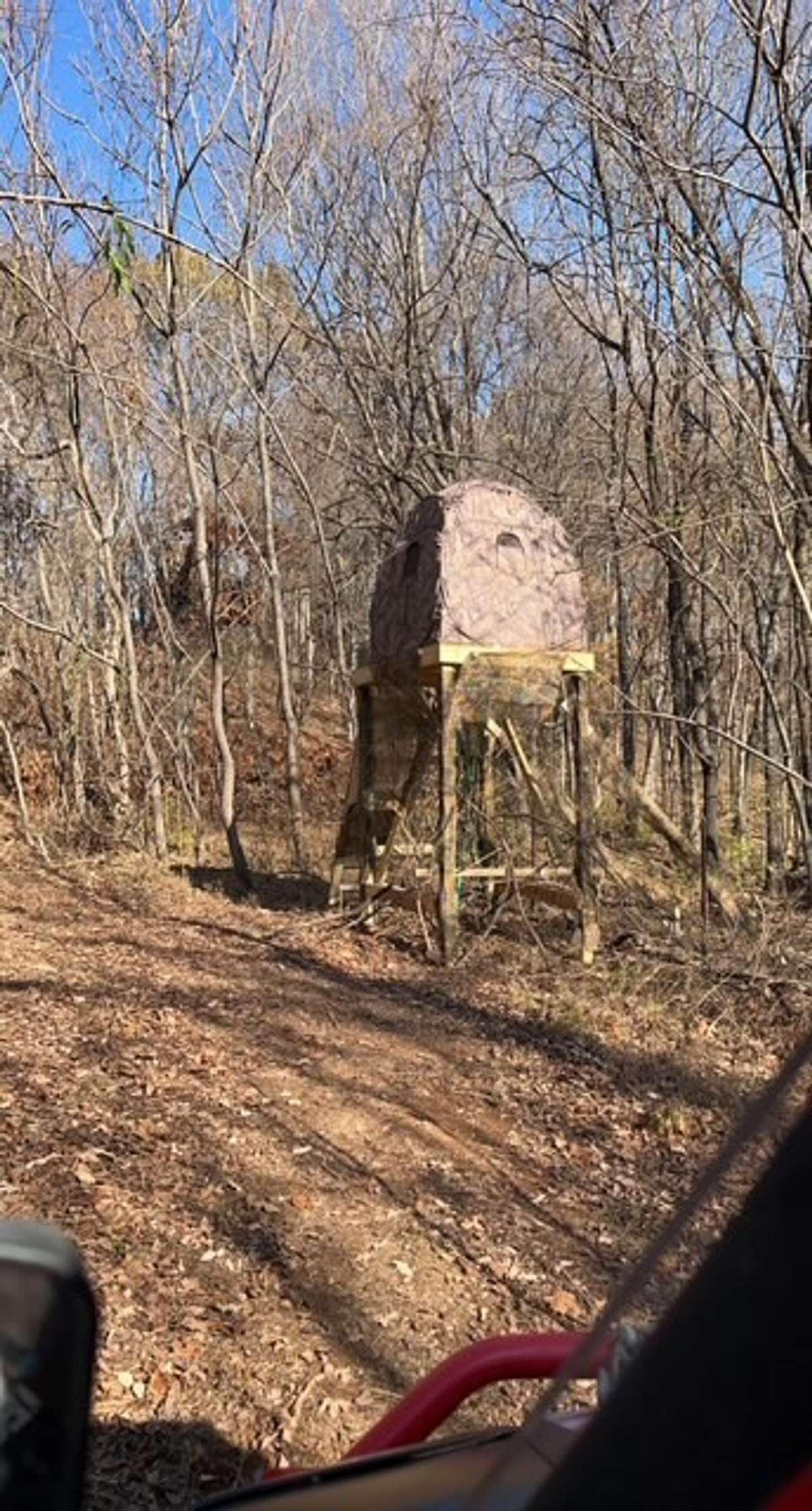 Plenty of space for deer hunting.