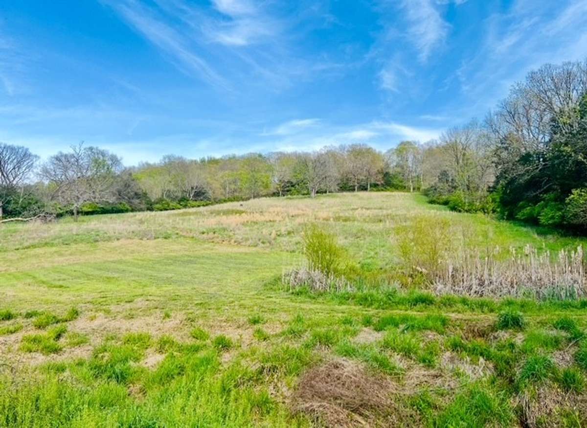 Sloping hill to start those beautiful 15 acres of Tennessee land.