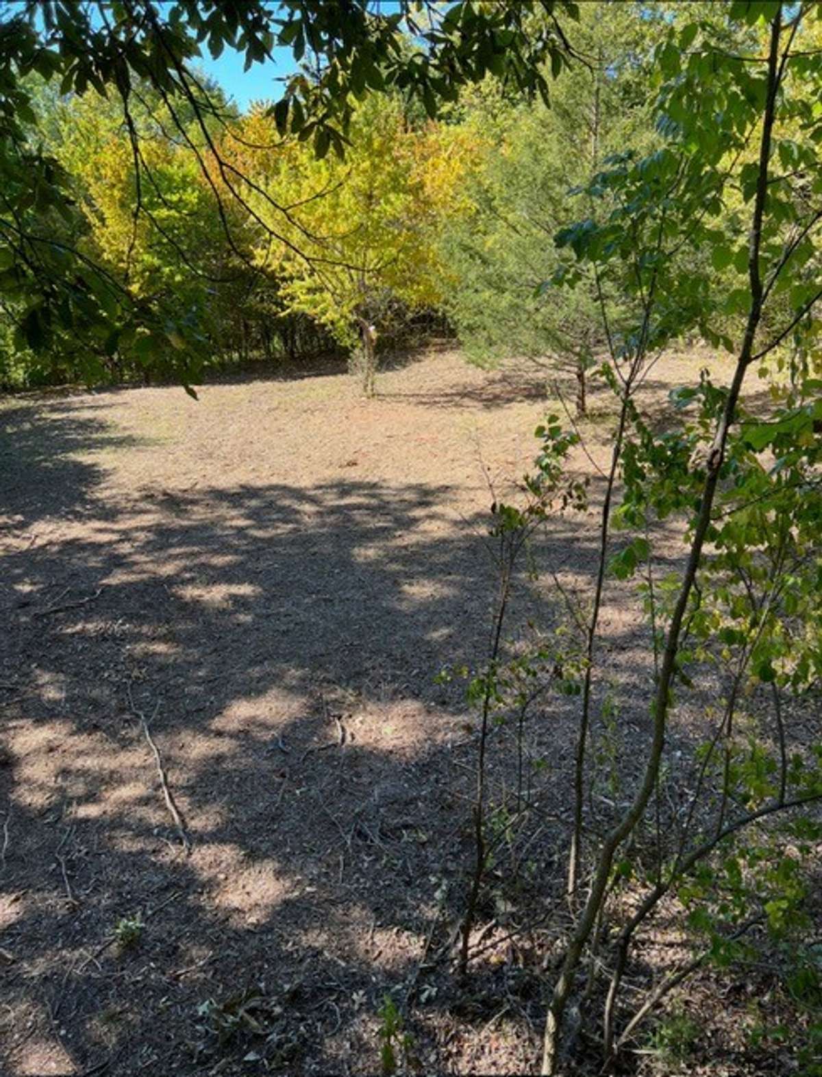 Slope leads to leveled out area, approximately 5 acres of level space.