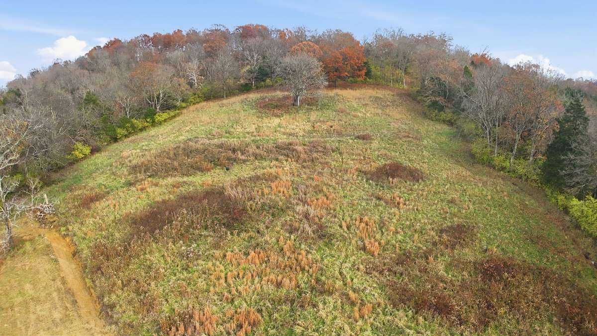 Sloped hill in the back of home, leading to the 14.8 acres.