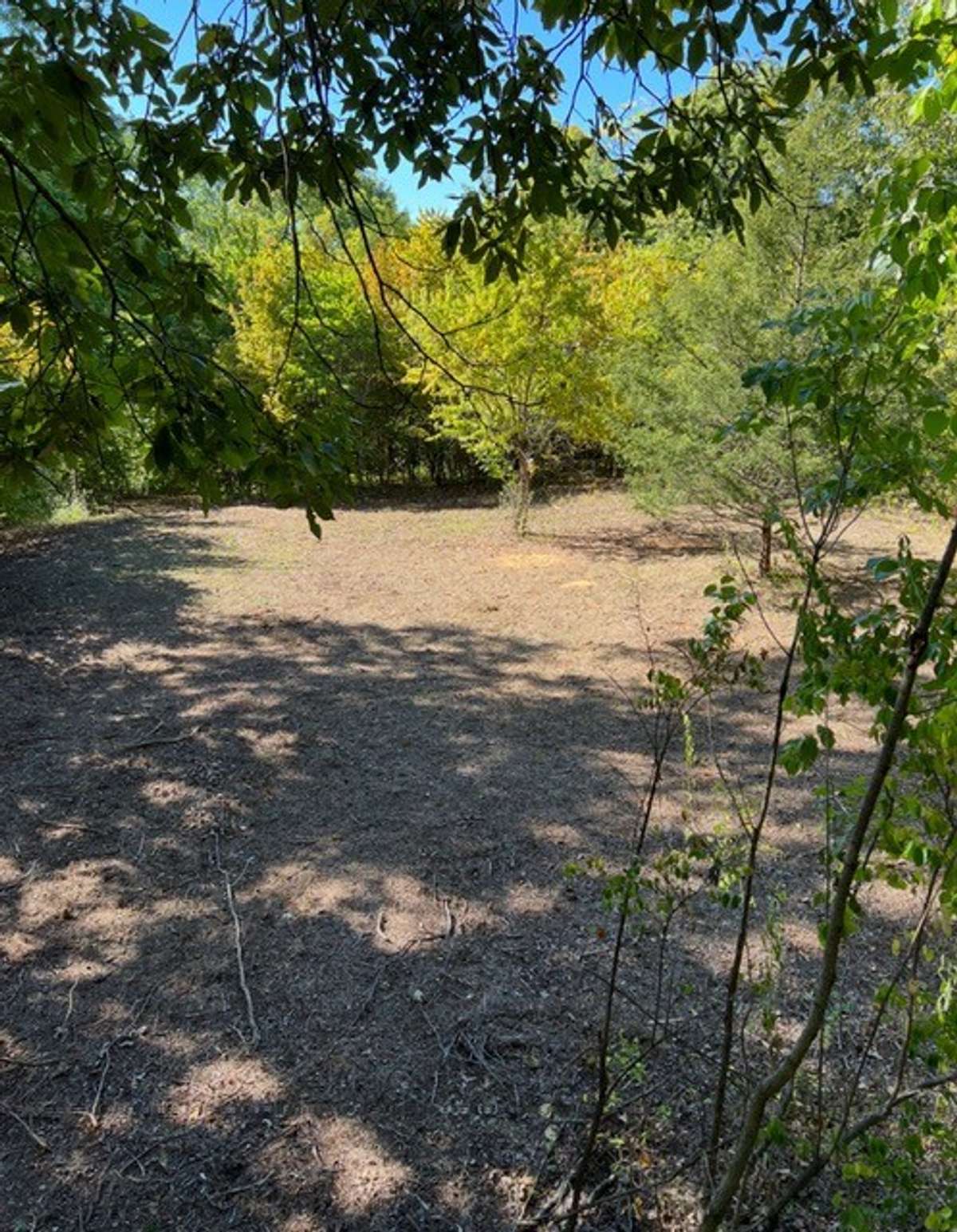 Beautiful acreage with plenty of trees.