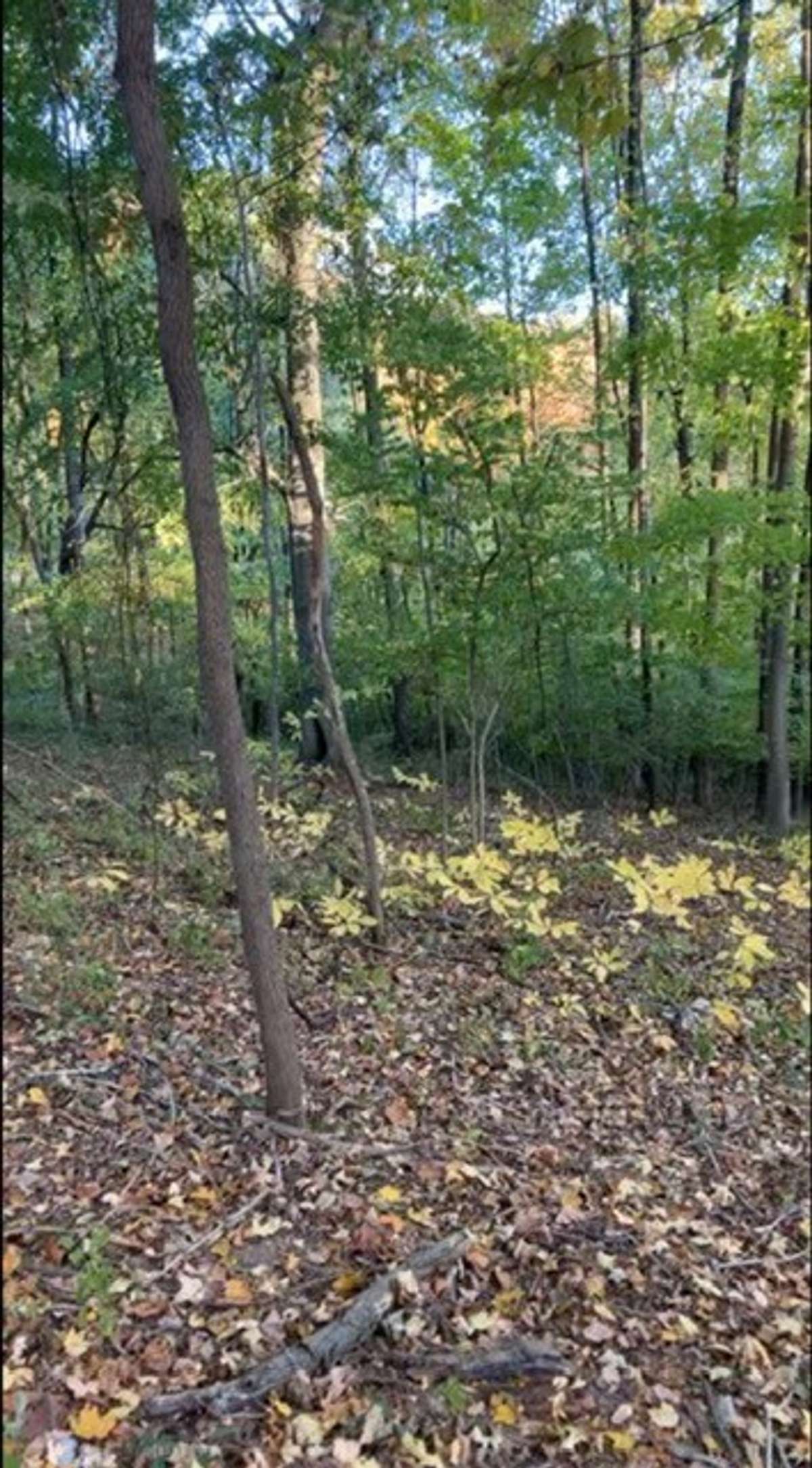 14.8 acres