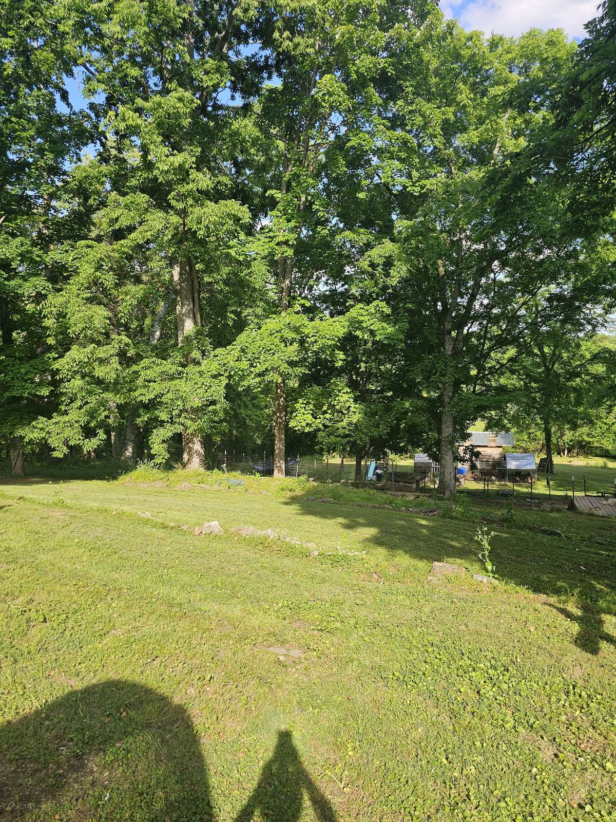 Part of Backyard