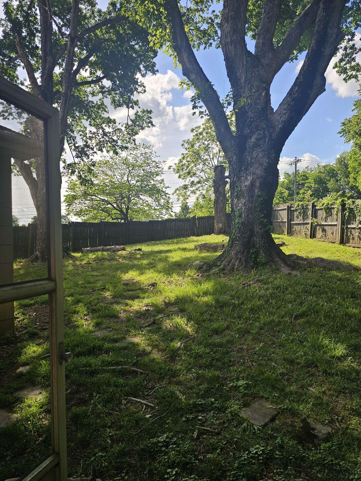 Side yard