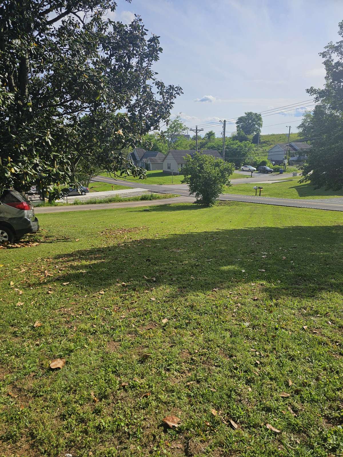 Front Yard