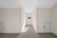 Check out this bonus room!