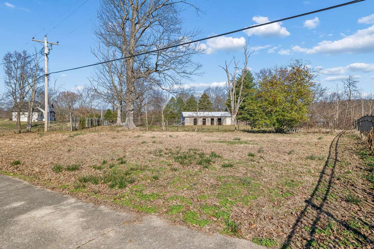 Fenced back yard.