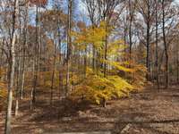 Neighbors are barely visible even in Winter
