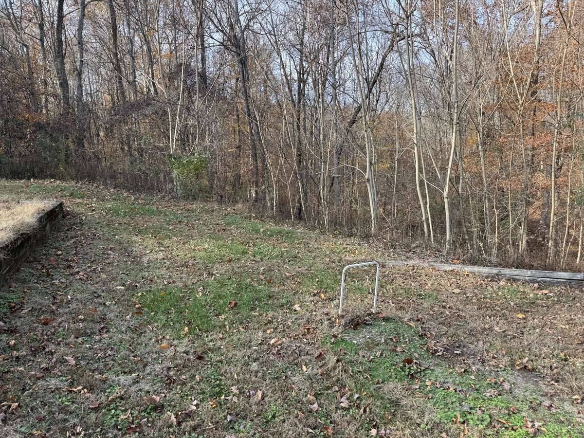 Back yard