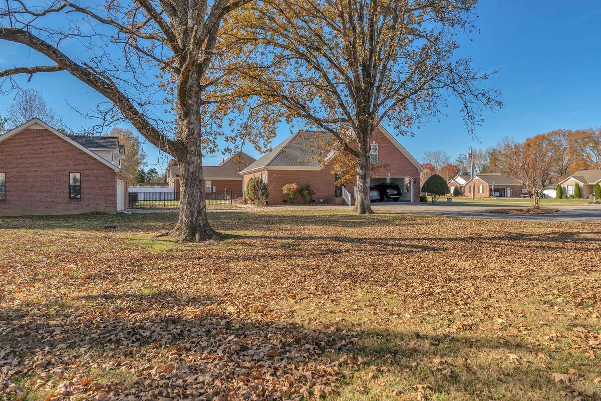 Mature trees provide shade for the backyard.