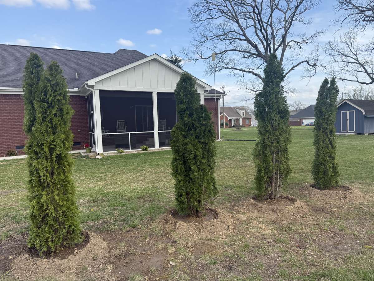 This photo shows the driveway parking pad/turnaround.