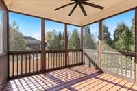 Mature evergreen trees in the backyard help keep the privacy in your backyard.