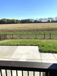 Fenced back yard & deck sealed and ready for new owners....