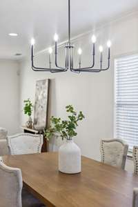 New dining room light fixture