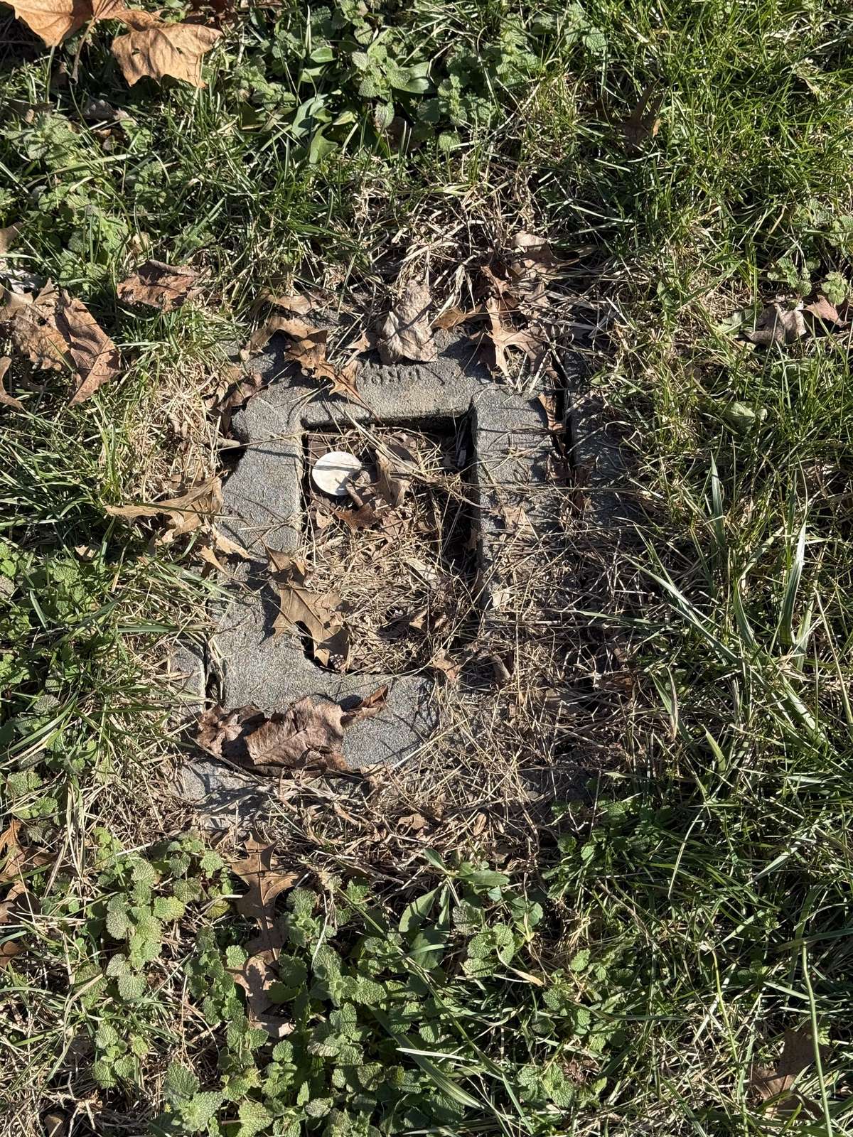County Water