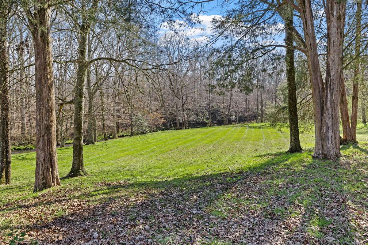 Meadow beside Creek