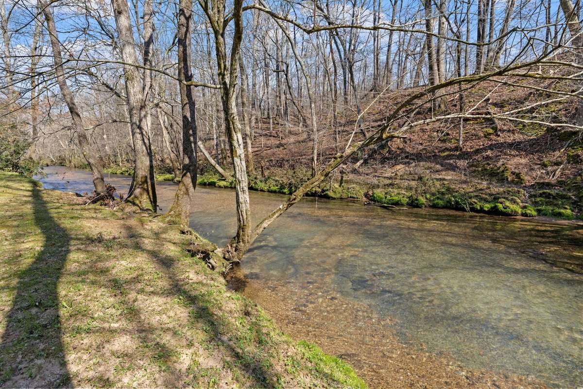 Historic Shoal Creek. Always runs clear and beautiful.
