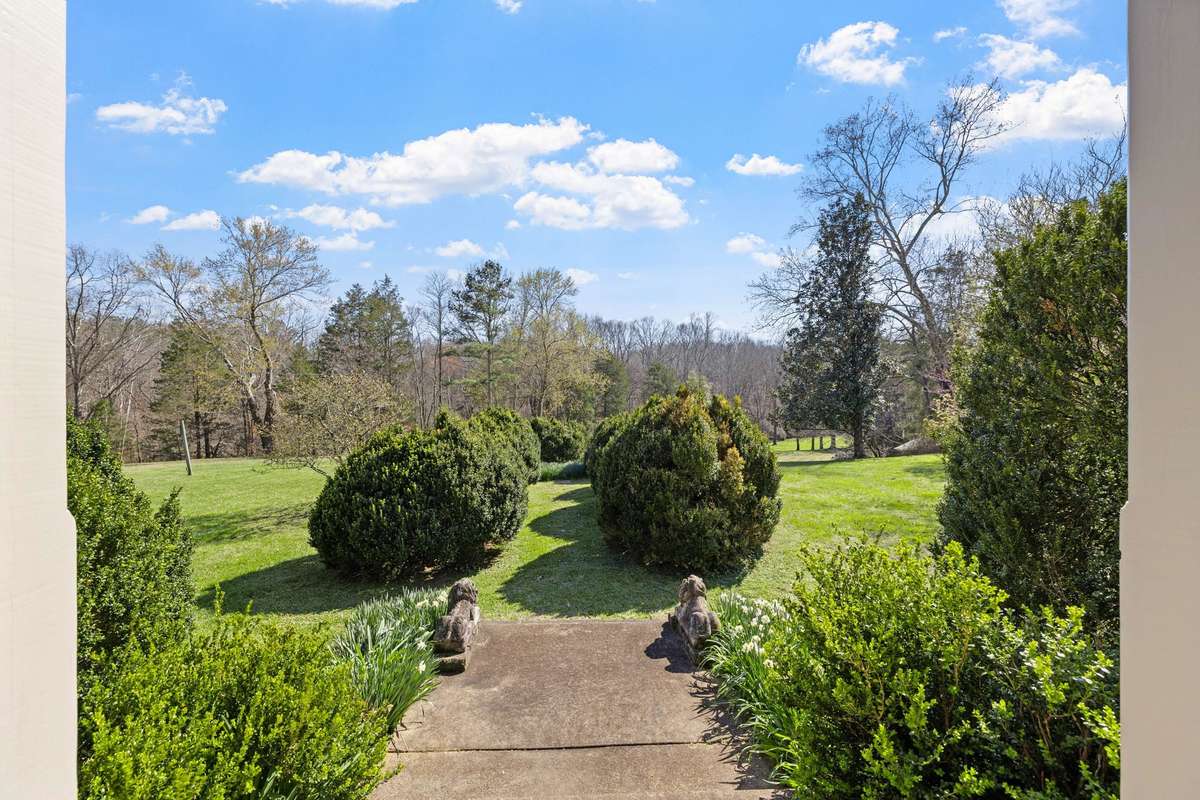 Looking toward Shoal Creek